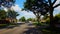 Woman Walks Up To Traffic Light Intersection and Waits to Cross The Street.  Pedestrian Person Walks Along Sidewalk To City Suburb