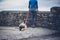 Woman by wall with Leonberger puppy