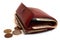 Woman wallet with coins