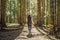 A woman in warm clothes enjoys a walk in a pine forest