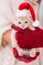 Woman with warm gloves hold cute ginger kitten with santa hat - holiday season