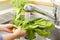 Woman wash the vegetables