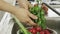 Woman washin vegetables