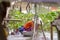 Woman washing clothes in Mekong River in Vietnam