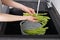 Woman washing fresh raw asparagus over sink