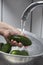 Woman washing freshly picked organic cucumbers in colander