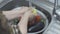 Woman washing freshly picked organic vegetables in colander