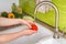 Woman washing tomato for salad - fresh vegetables