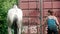 A woman washing white horse outdoors - watering the horse with water from a hose