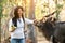 Woman watching and feeding animal in zoo