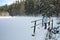 Woman watching frozen lake in forest in winter