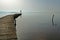 Woman watching over Trasimeno lake, Italy