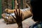 Woman watching a tiger in Zoo