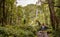 Woman at waterfall, Poco do Ferreiro, Flores island, Portugal, hiking