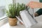 Woman watering aromatic green rosemary at windowsill, closeup