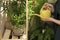 Woman watering beautiful house plants indoors, closeup