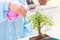 Woman watering bonsai tree