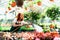 Woman watering flowers in a nursery - Greenhouse with coloured plants for sale