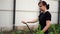 Woman watering the garden from hose. Female spraying water on vegetables with a garden hose. A happy woman with a hose