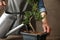 Woman watering Japanese bonsai plant. Creating zen atmosphere at home