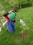 Woman watering magnolia with canister