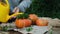 Woman watering succulent plant in pumpkin planter. DIY Autumnal garden decor.