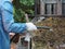 A woman waters a dung heap from waste and animal manure with water for early decay.Creating organic fertilizers in the garden