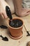 A woman waters the soil in a flower pot.