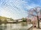 Woman wearing a mask in kimono in front of moat of Tokyo Imperial palace with a weeping cherry tree.