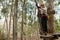 Woman wearing safety helmet getting ready to climb on zip line