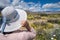 Woman wearing a sun straw hat looks out to wildflowers in the desert in Anza Borrego State Park in California during the