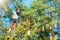 Woman wears protective helmet enjoy active leisure in rope park