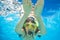 Woman wears snorkeling mask swimming underwater