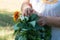 Woman weaves a wreath of linden branches and flowers