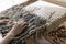 Woman weaving camouflage military mesh for helmet.