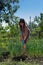 Woman weeding the vegetable garden