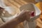 Woman weighting flour on a analog scale