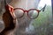 Woman wet hand holding shortsighted or nearsighted eyeglasses with Dust and Dirty mosquito wire screen window, Close up shot