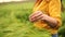 Woman wheat field. Farmer touching barley spikes in cultivated field. Selective focus, slow motion. Closeup of woman