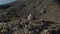 Woman in white cloth calm sitting on the stone at top of the hill in the middle of the valley. She is hiding her face