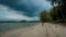 Woman in white fedora hat and sarong sown the beach with palm trees and storm clouds in the background