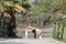 A woman in a white gymnastic jumpsuit is engaged in yoga on the background of water and a green mountain slope