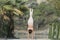 A woman in a white gymnastic jumpsuit is engaged in yoga on the background of water and a green mountain slope