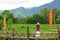 Woman in white hat looking at the vibrant green paddy field from a bamboo bridge