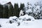 A woman in a white jacket shakes snow from a tree after a heavy snowfall,