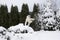 A woman in a white jacket shakes snow from a tree after a heavy snowfall,