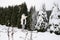 A woman in a white jacket shakes snow from a tree after a heavy snowfall,