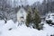 A woman in a white jacket shakes snow from a tree after a heavy snowfall,