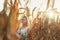 Woman in a white summer long dress walks on a cornfield and posing in sunset time