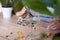 a woman in a white sweater adds drops of chlorophyll to a glass of water standing next to palm trees